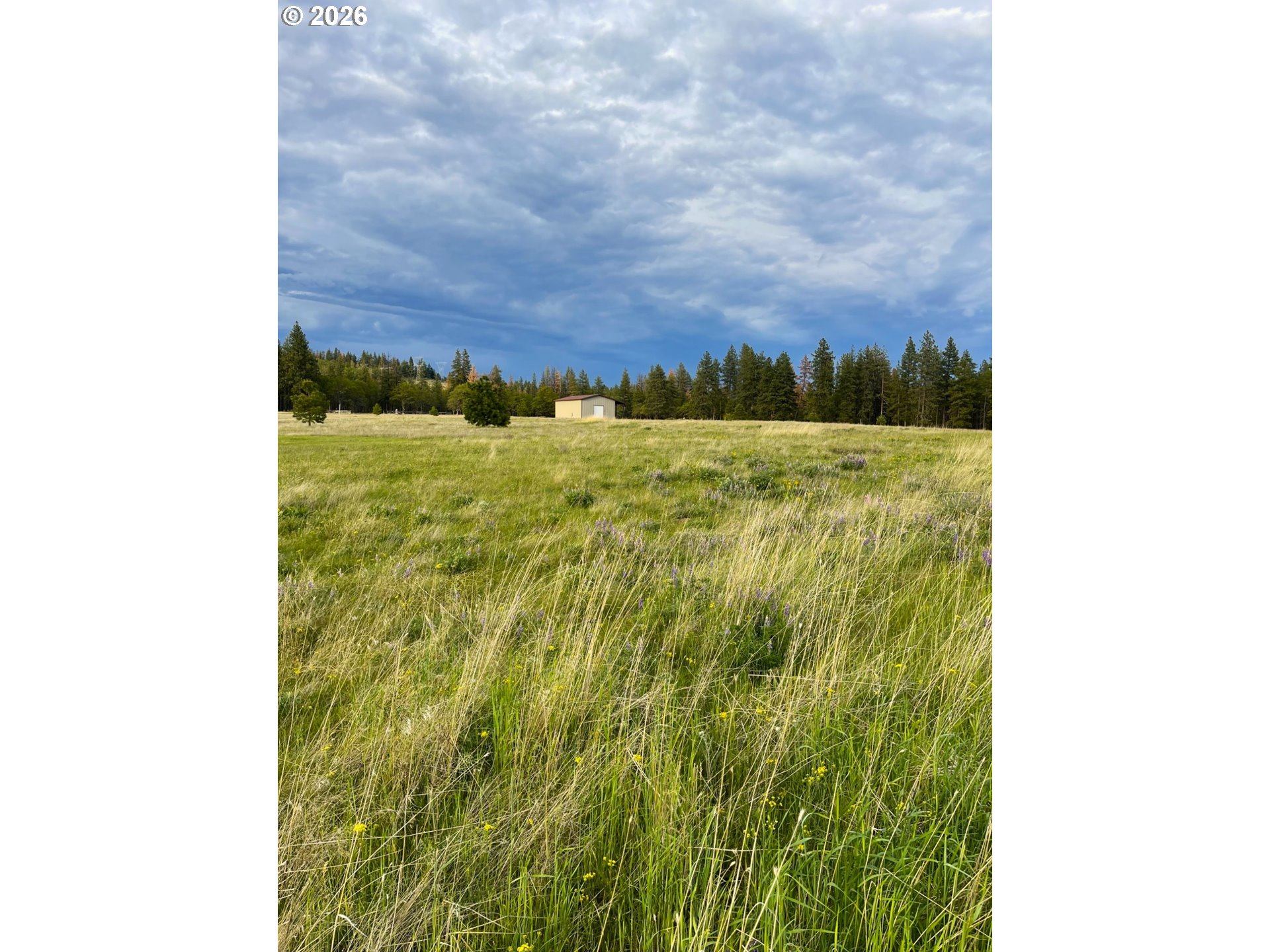 44 Wildhorse Ranch RD