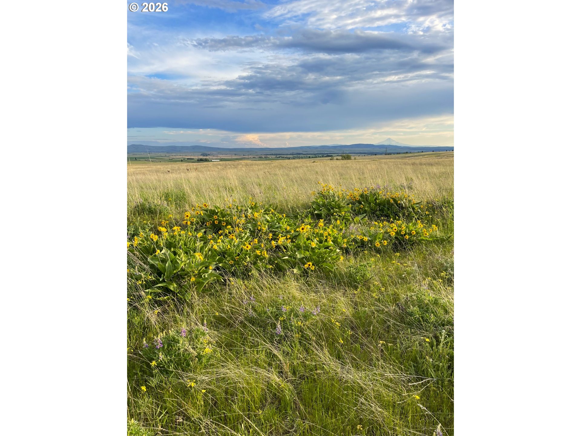 44 Wildhorse Ranch RD