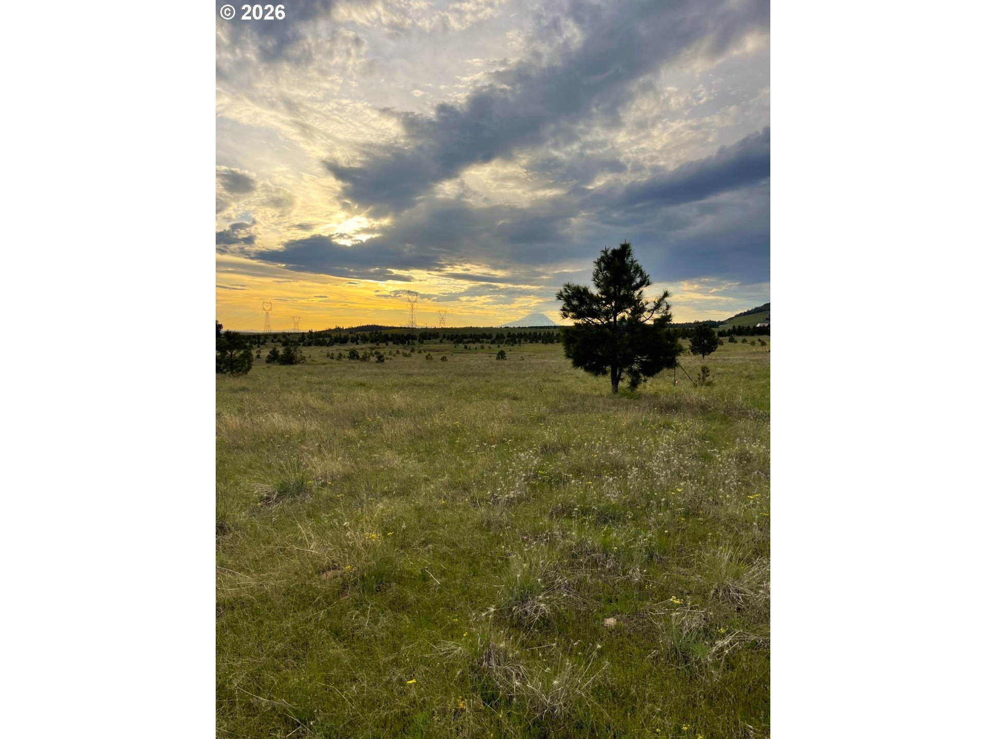 44 Wildhorse Ranch RD