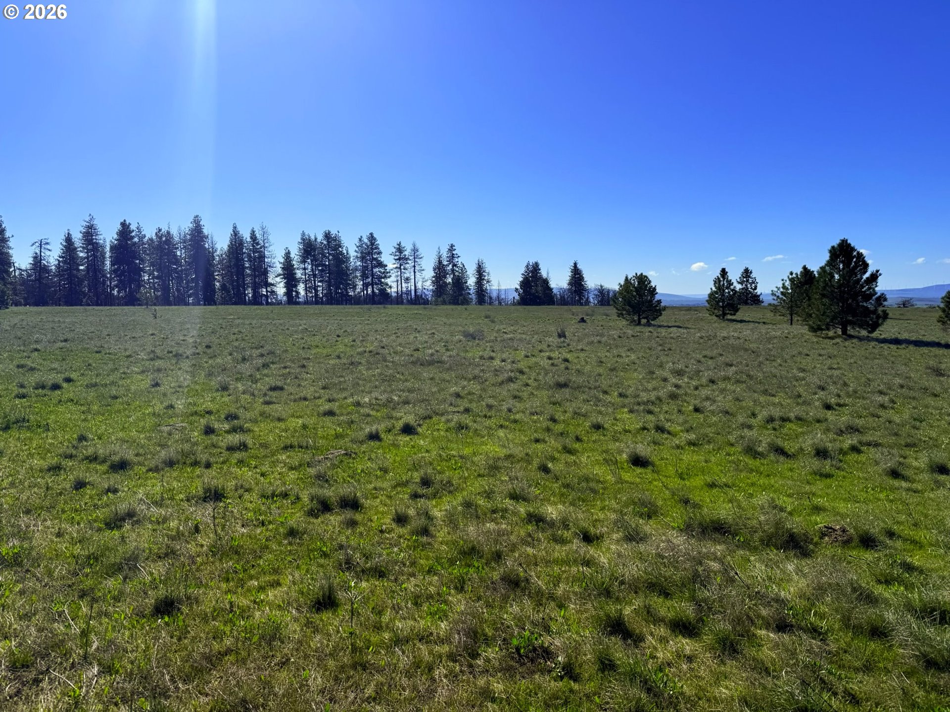 44 Wildhorse Ranch RD