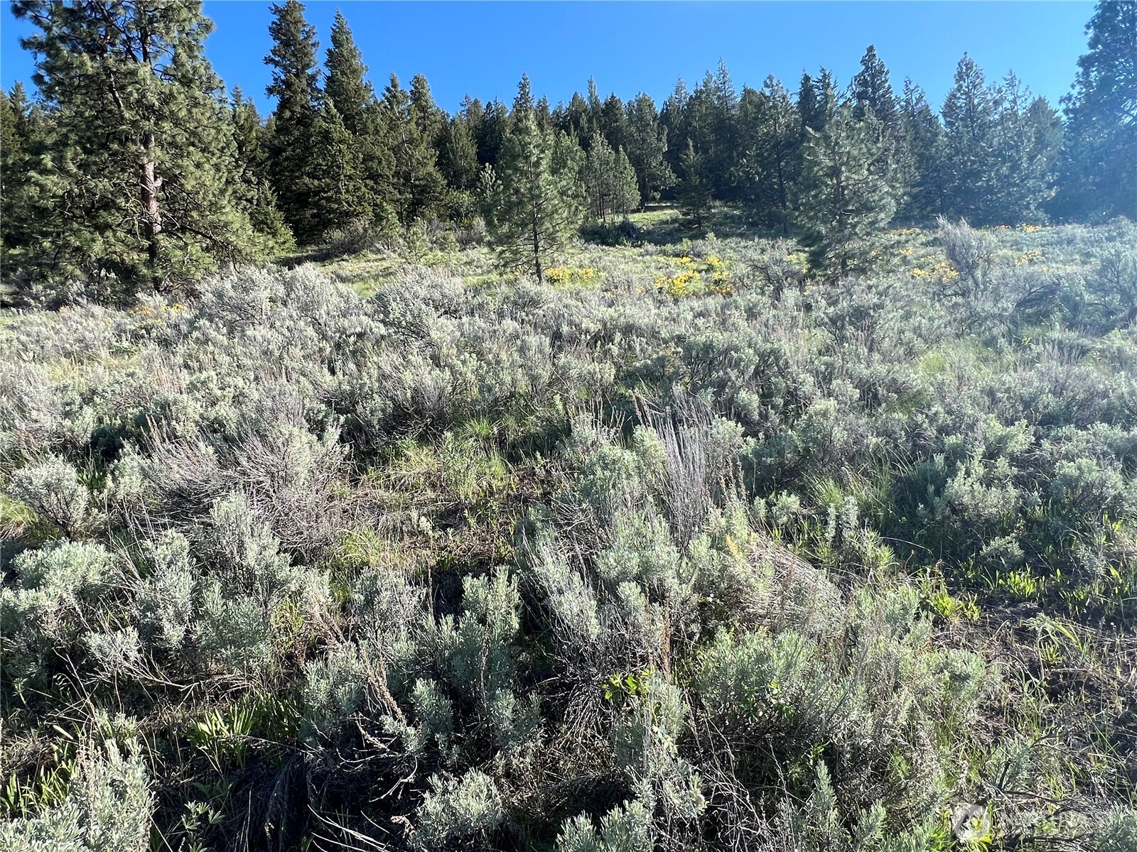 7 Gold Rush Ridge Road