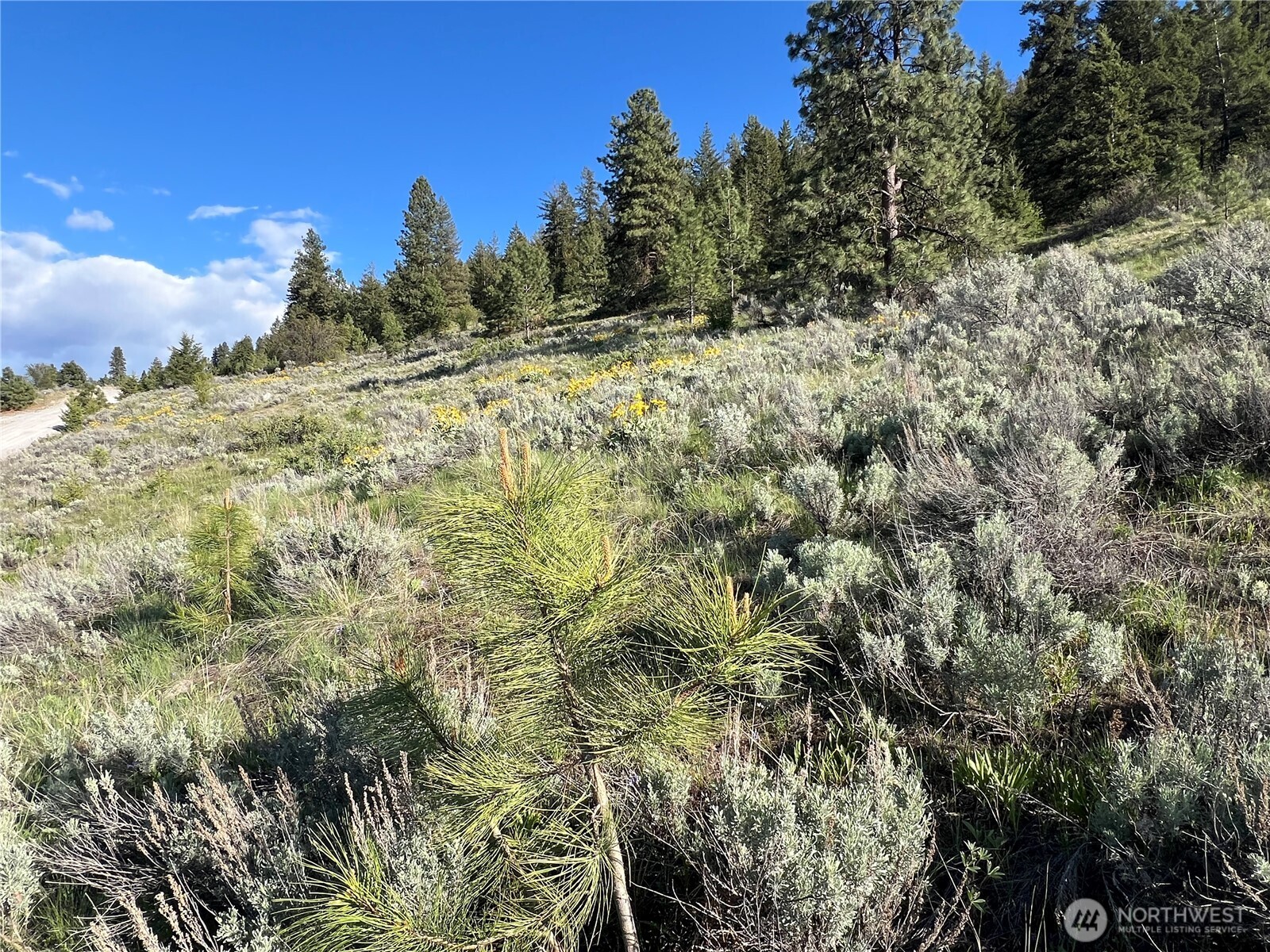 7 Gold Rush Ridge Road