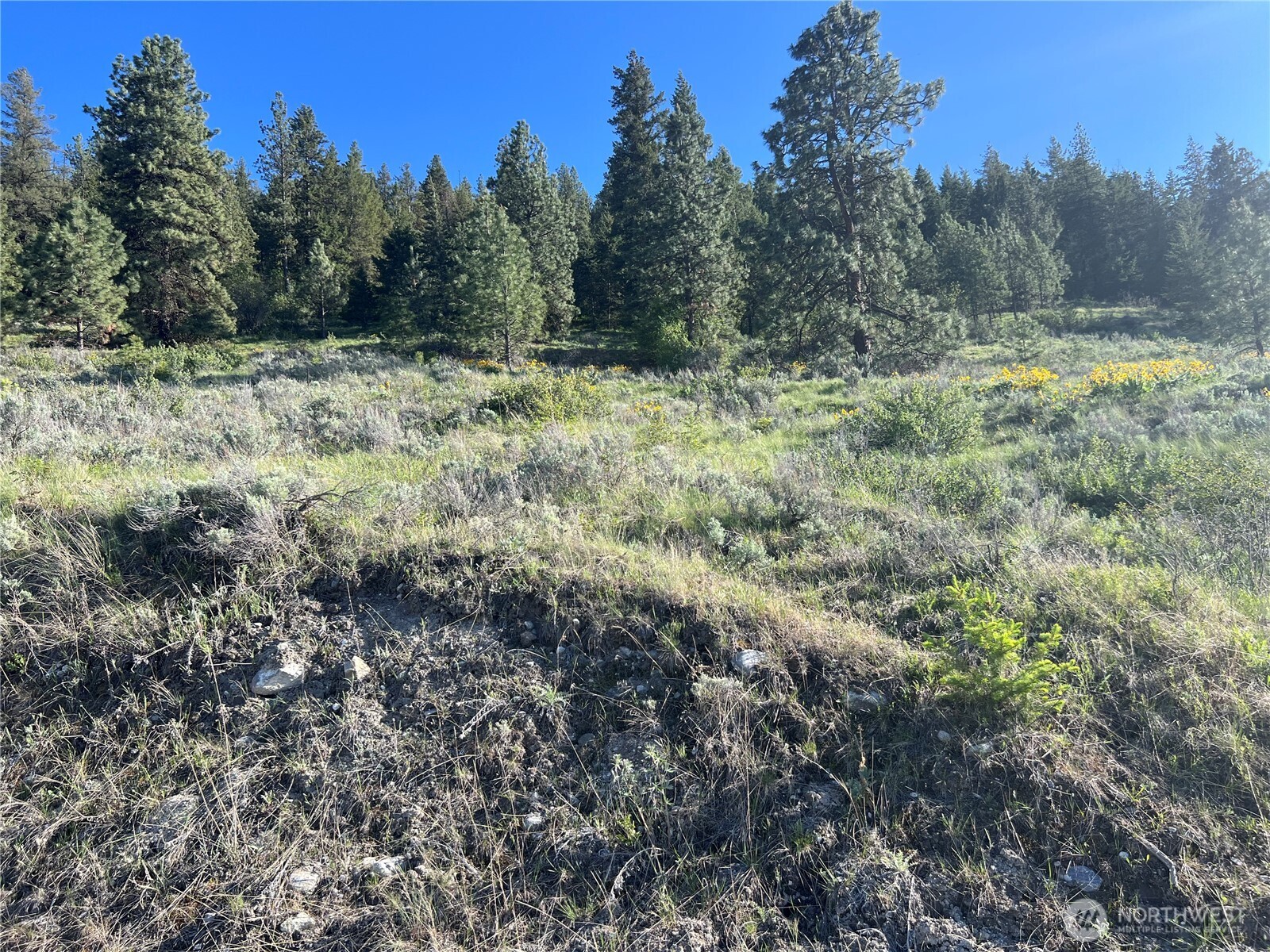 7 Gold Rush Ridge Road