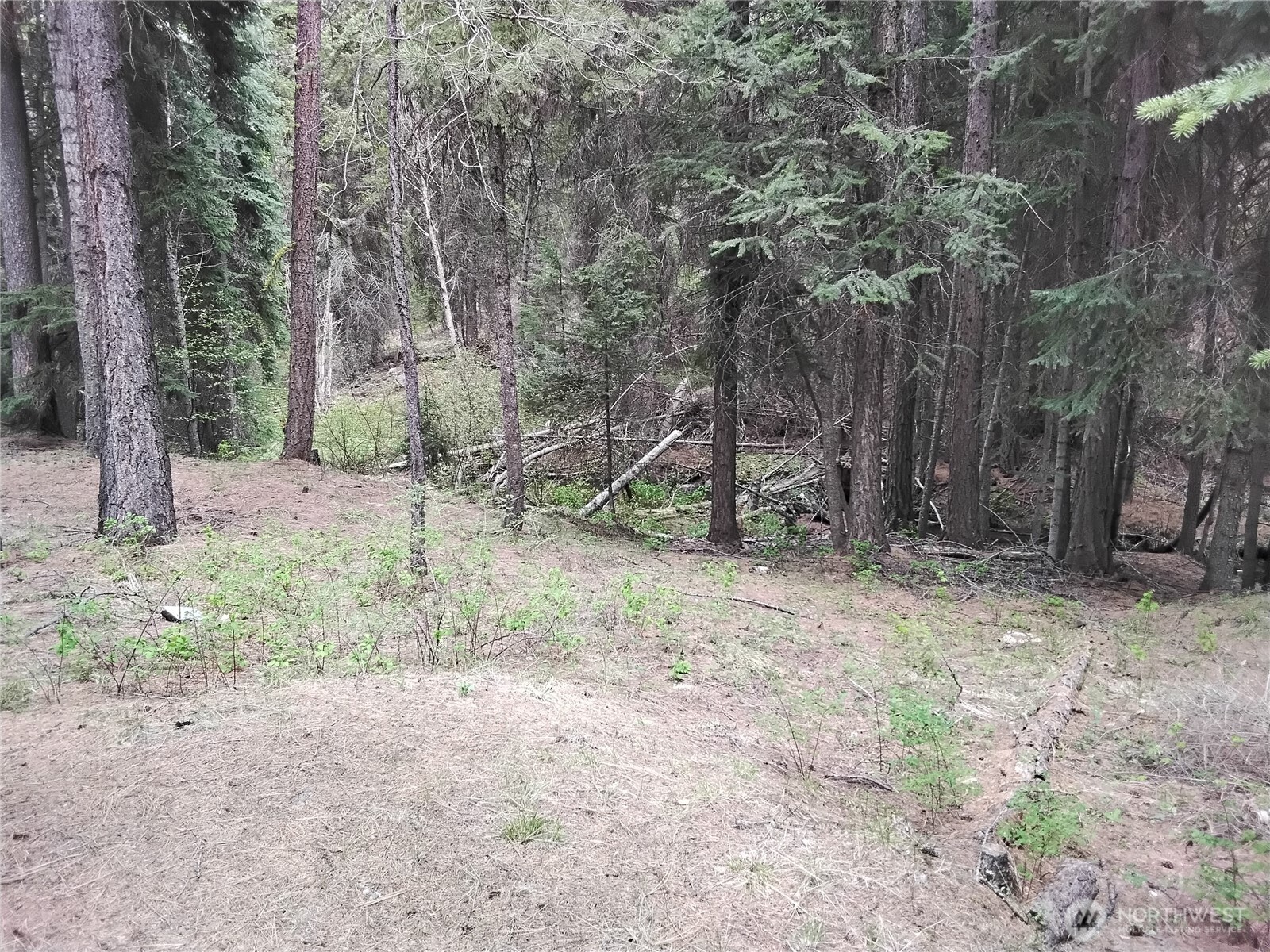 260 Forest Service 30 Road