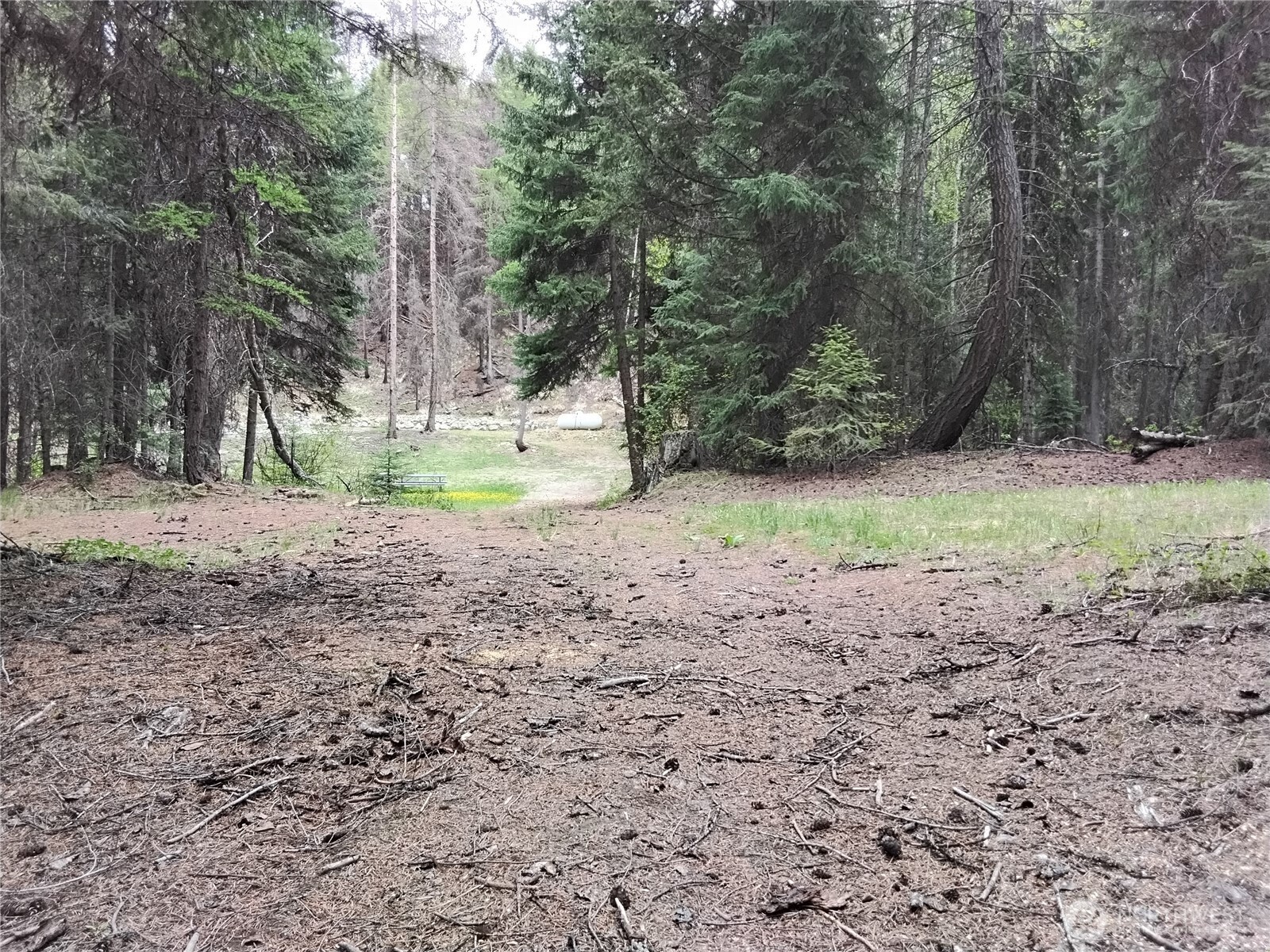 260 Forest Service 30 Road