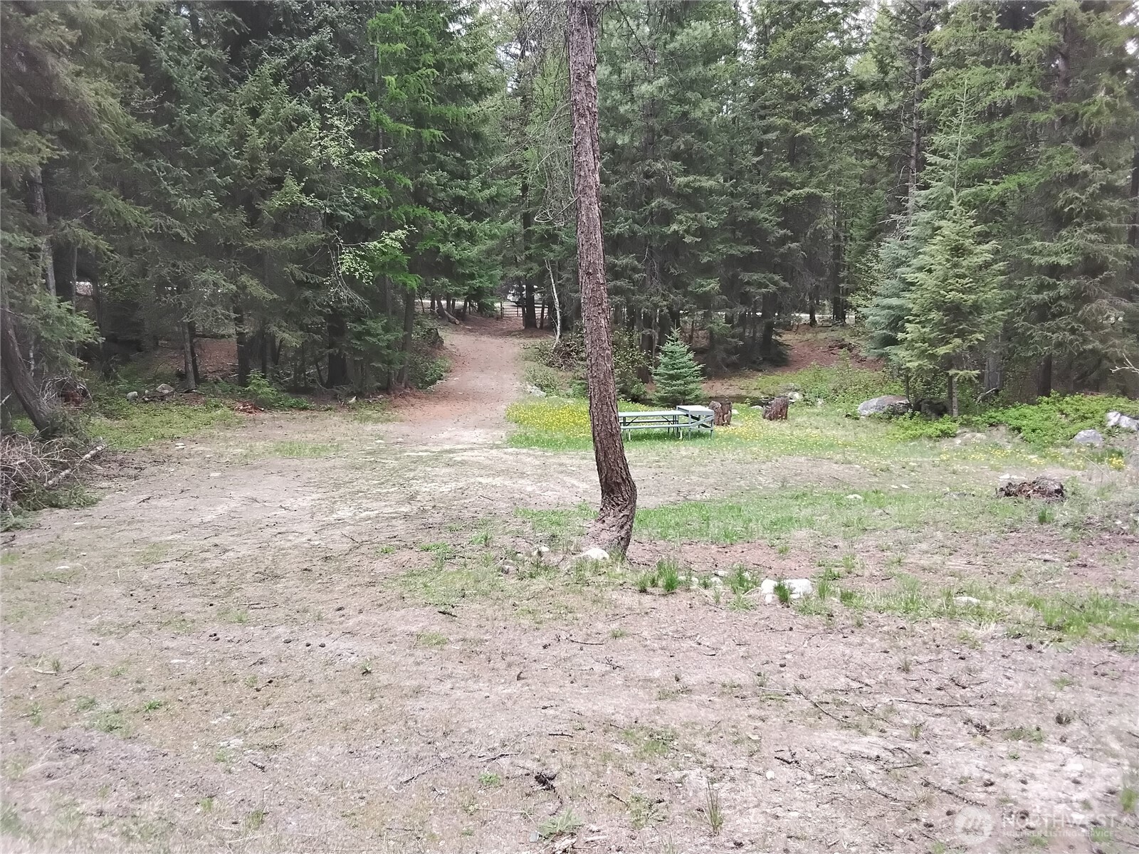 260 Forest Service 30 Road