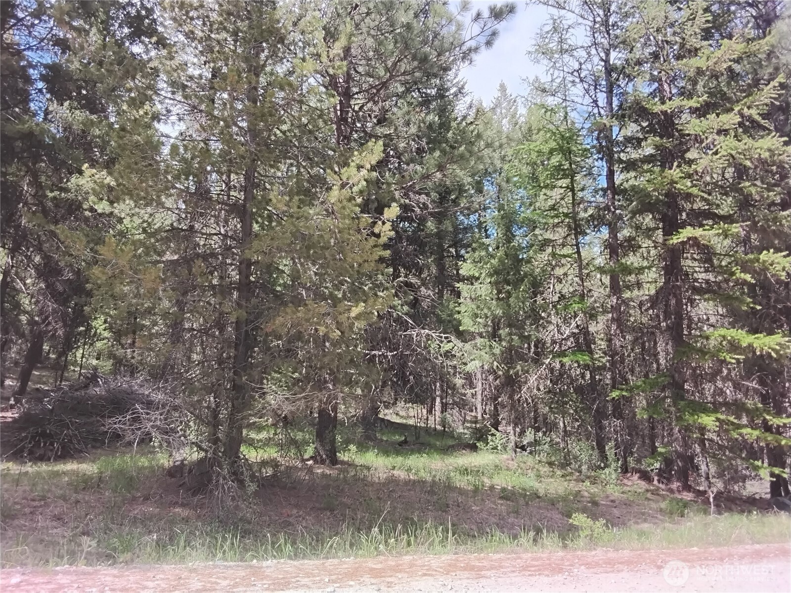 260 Forest Service 30 Road