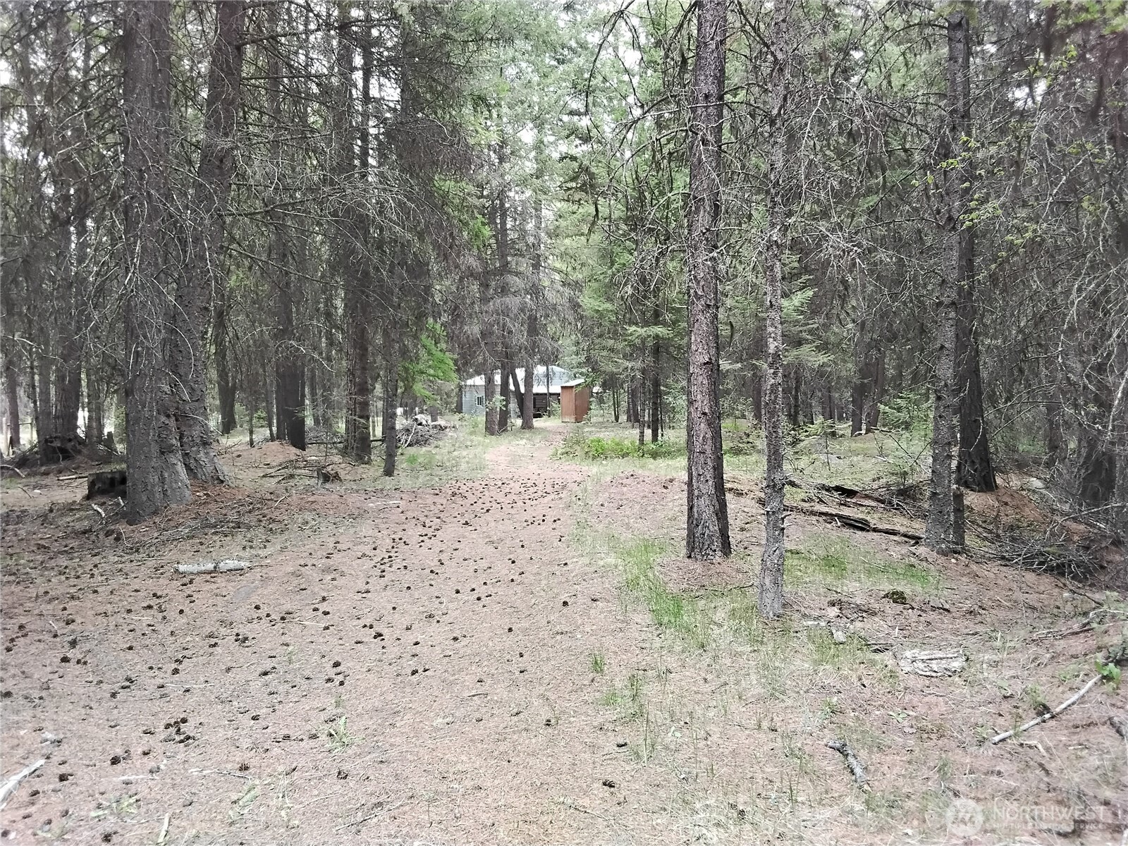 260 Forest Service 30 Road