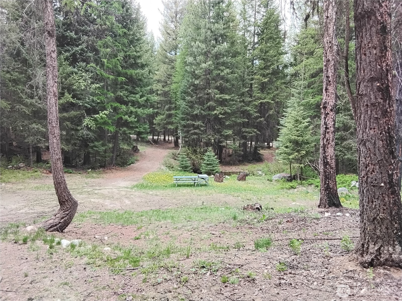 260 Forest Service 30 Road