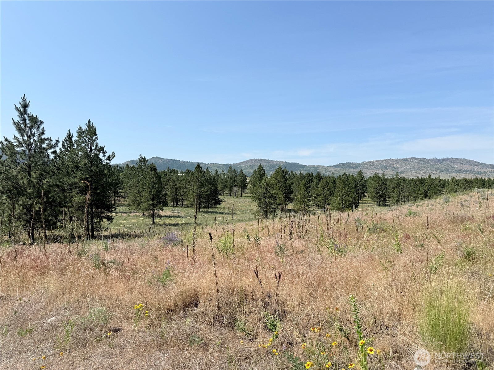 22 Dutch Anderson Road