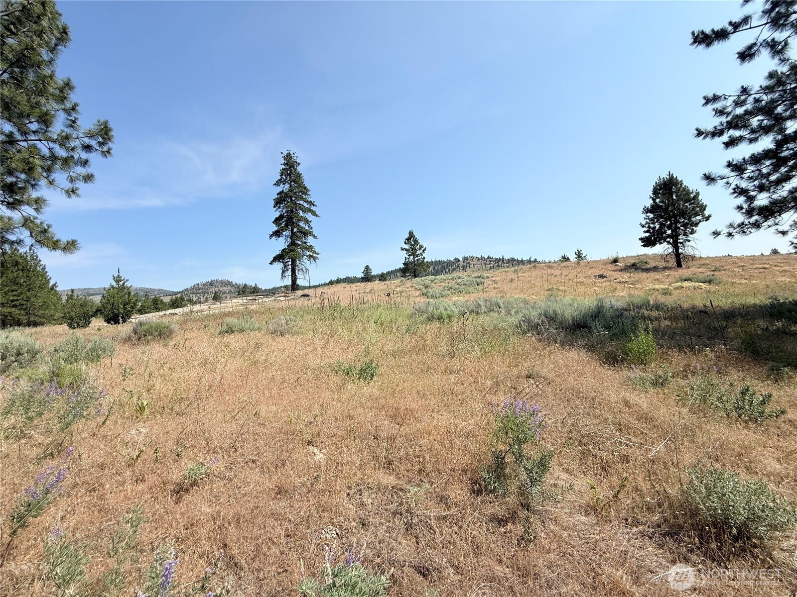 22 Dutch Anderson Road