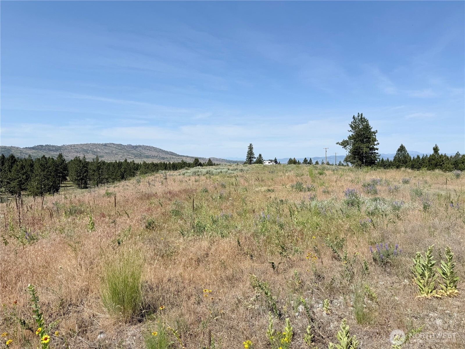 22 Dutch Anderson Road