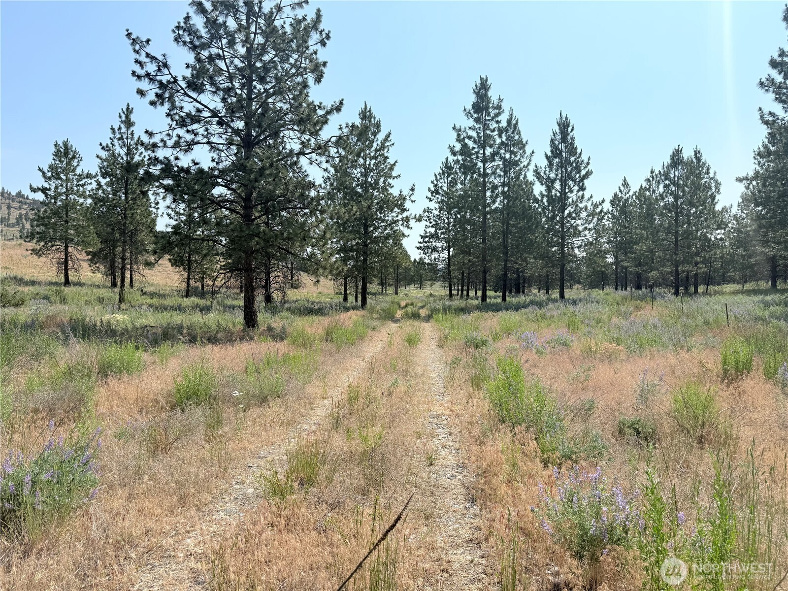 22 Dutch Anderson Road