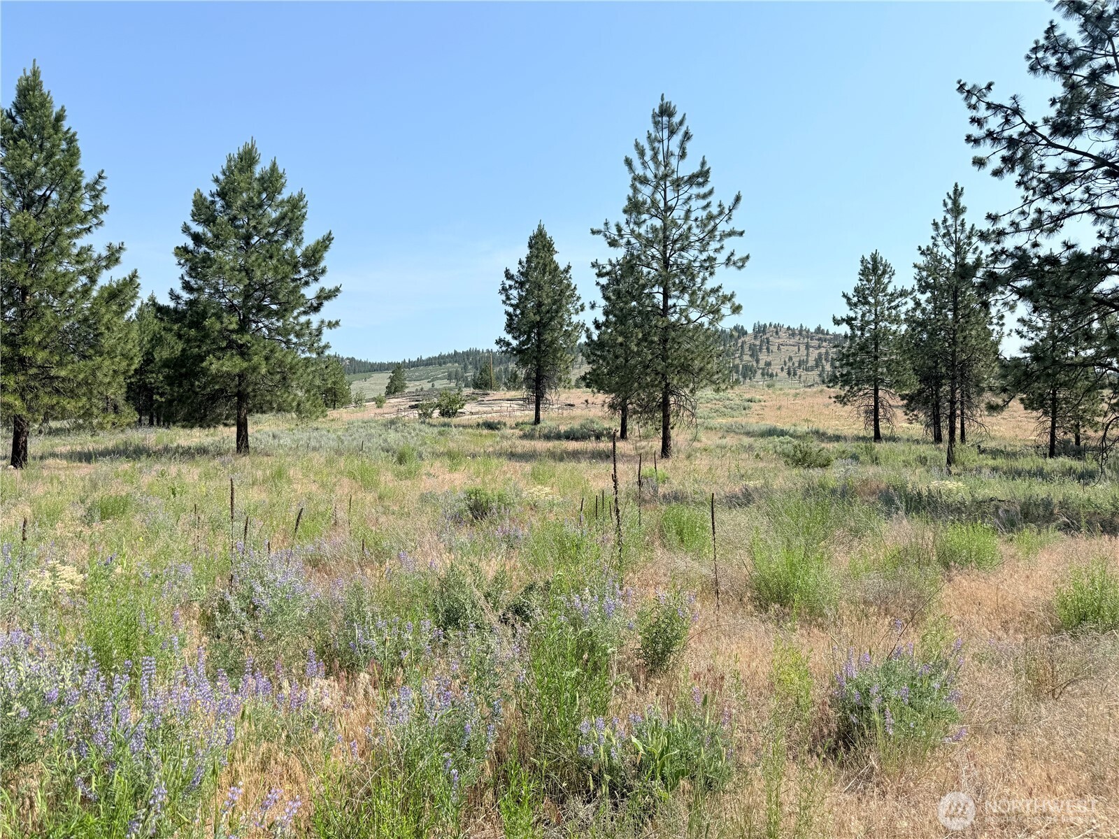 22 Dutch Anderson Road