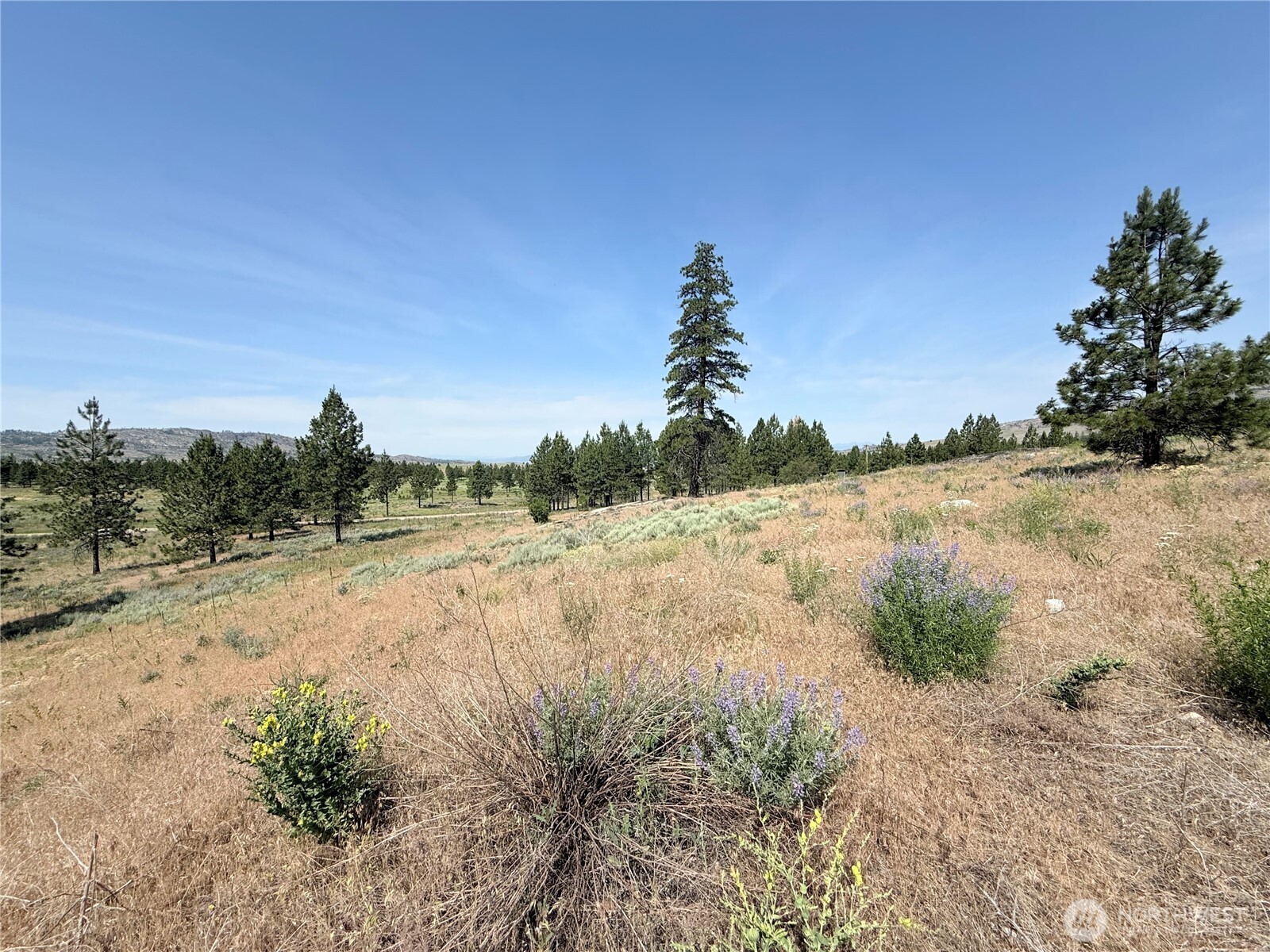 22 Dutch Anderson Road