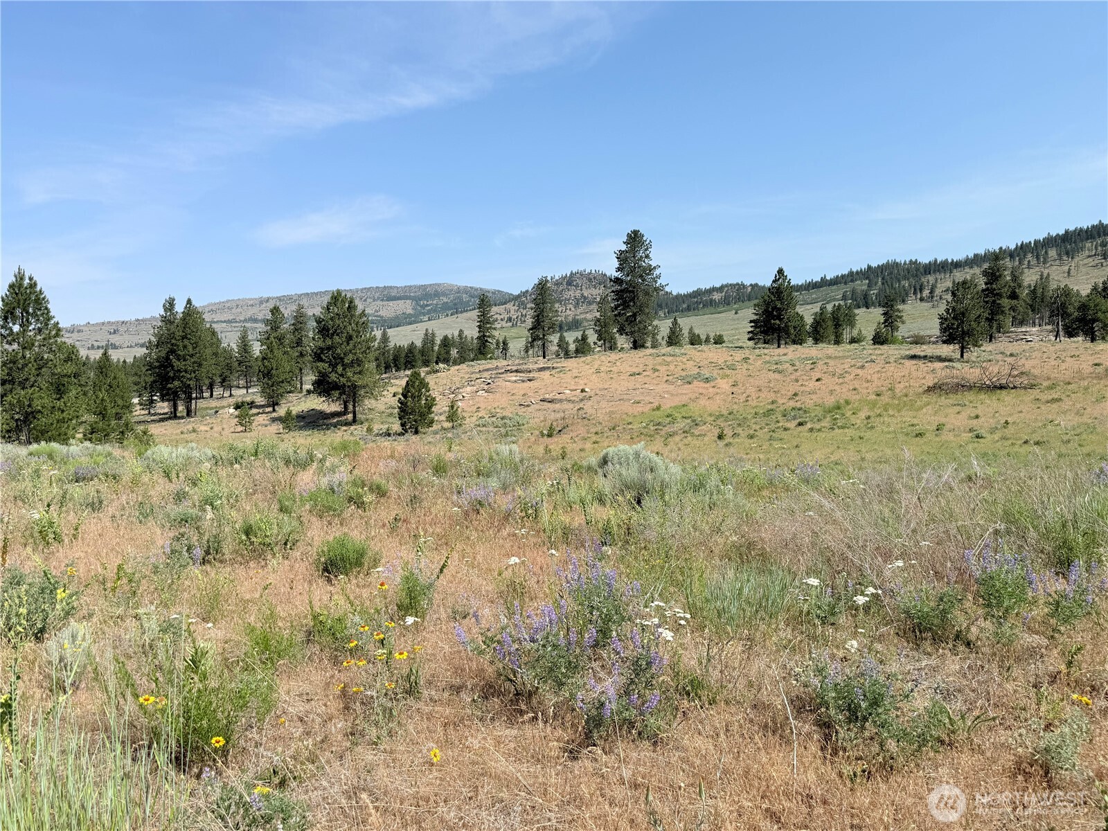 22 Dutch Anderson Road