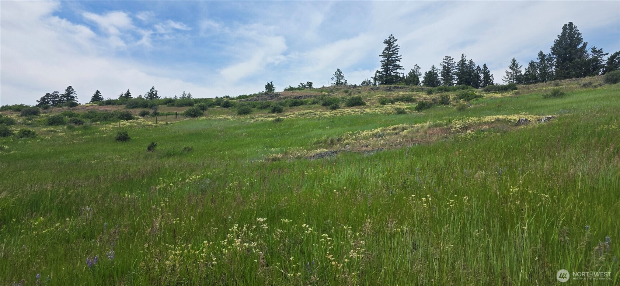 111 TBD Fletcher Rd