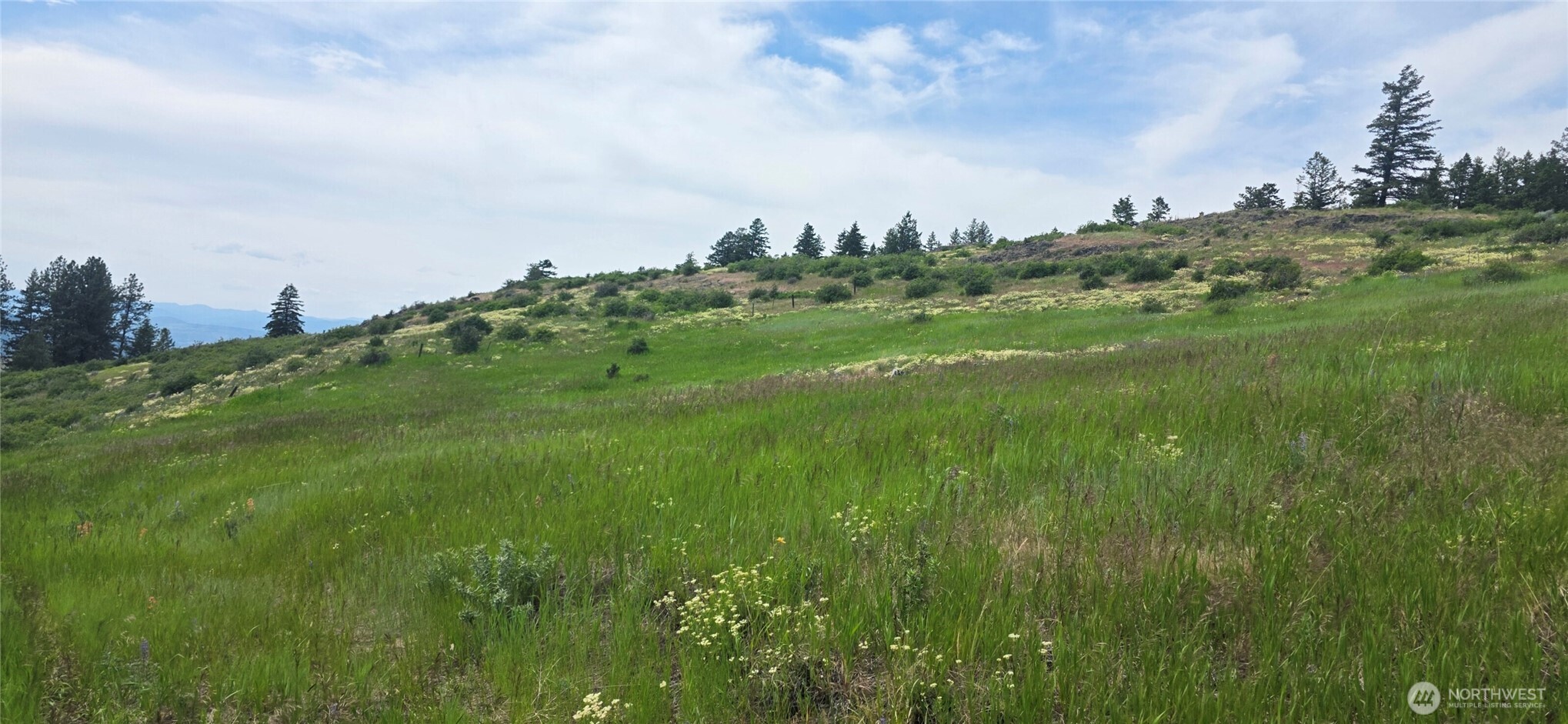 111 TBD Fletcher Rd