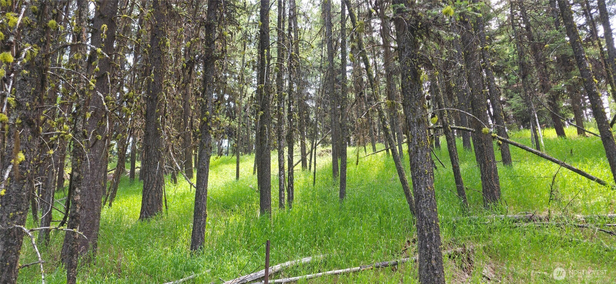 111 TBD Fletcher Rd