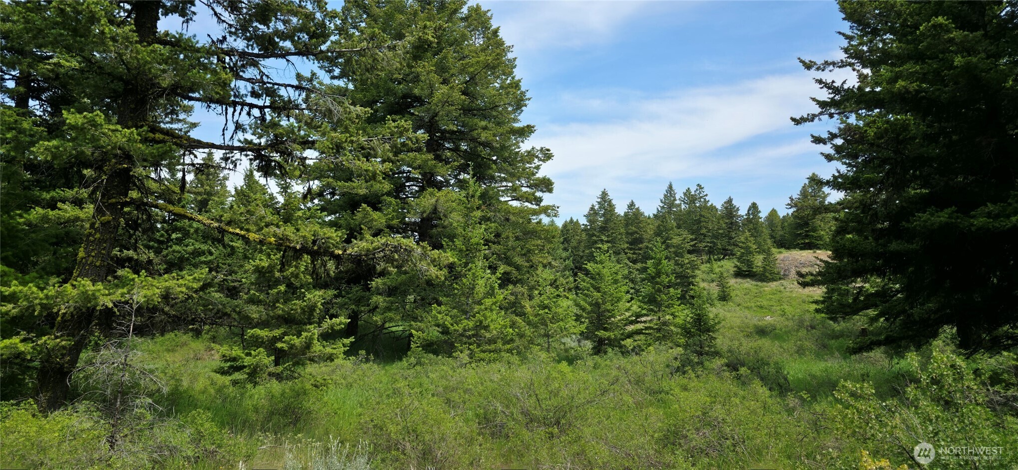 111 TBD Fletcher Rd