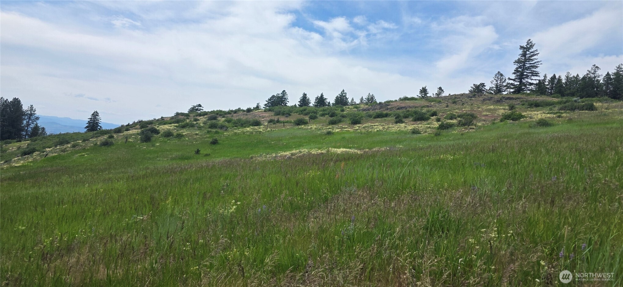 111 TBD Fletcher Rd