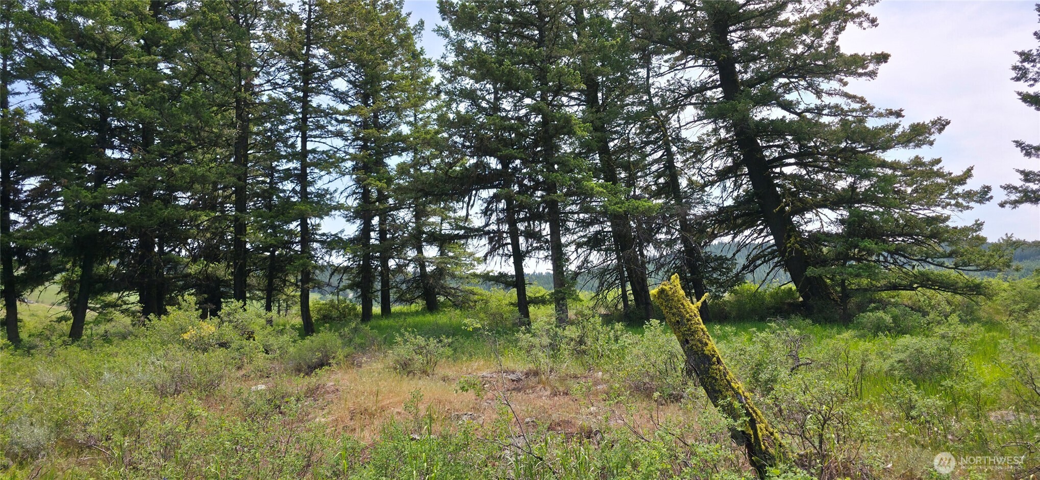 111 TBD Fletcher Rd
