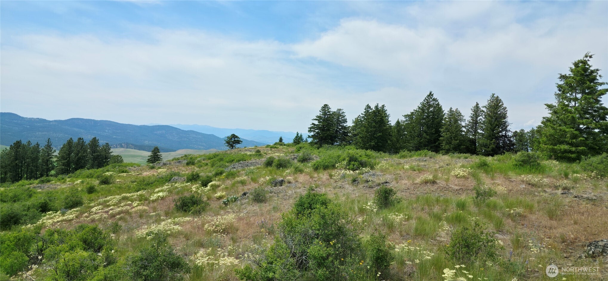 111 TBD Fletcher Rd