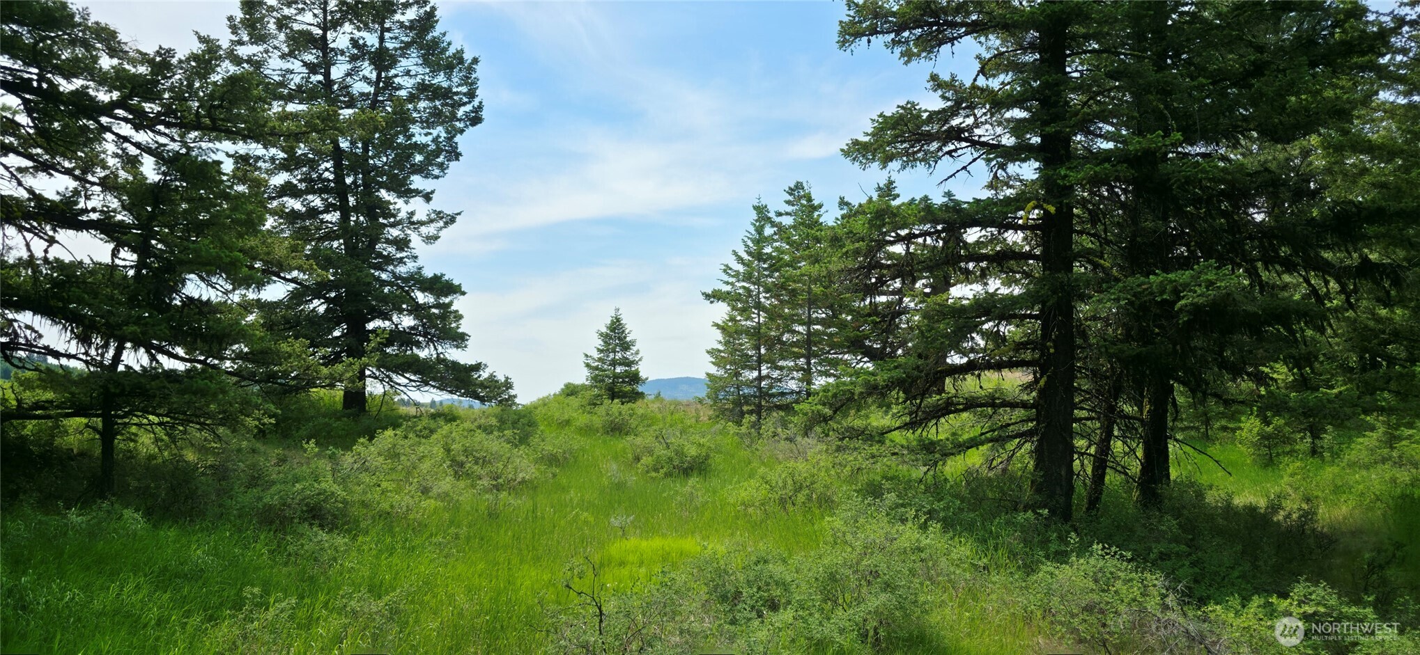111 TBD Fletcher Rd