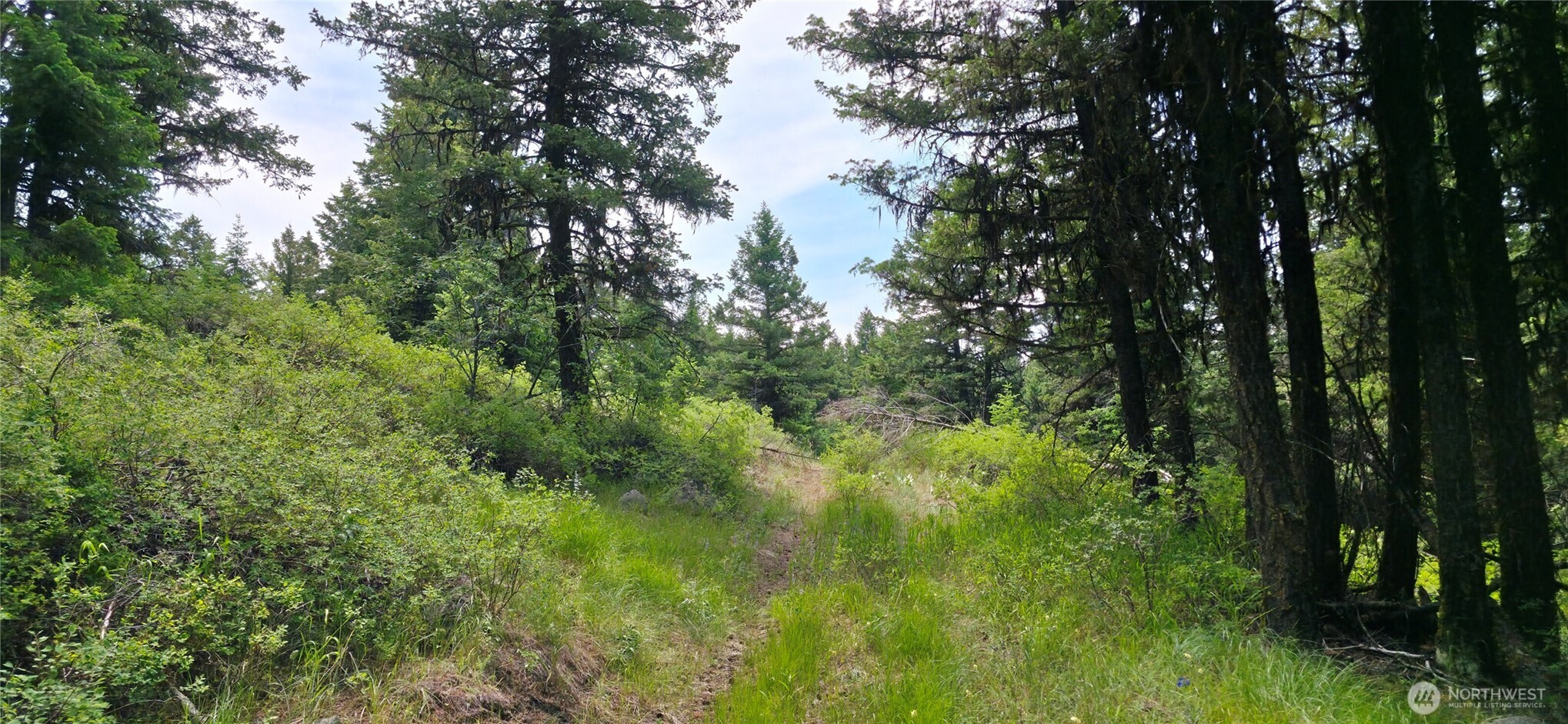 111 TBD Fletcher Rd