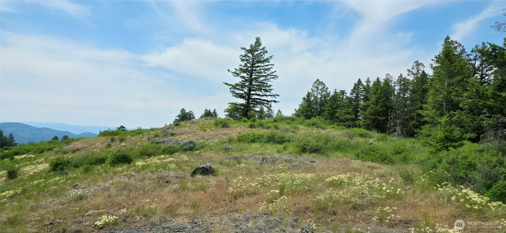 111 TBD Fletcher Rd