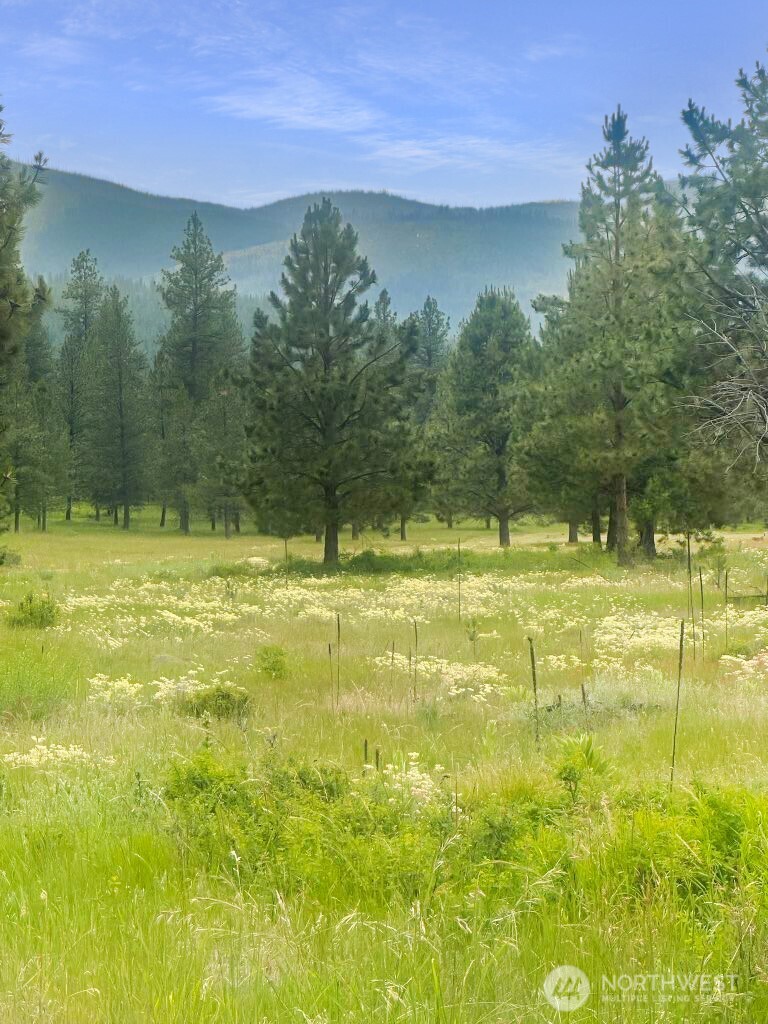 6 Lone Pine Trail