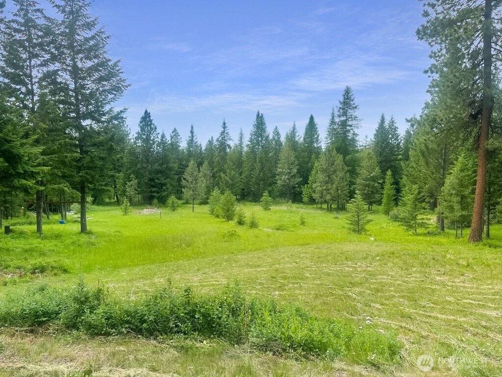 6 Lone Pine Trail