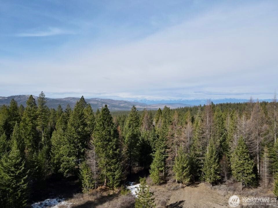 6 Lone Pine Trail