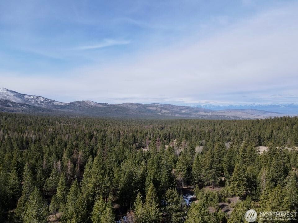 6 Lone Pine Trail