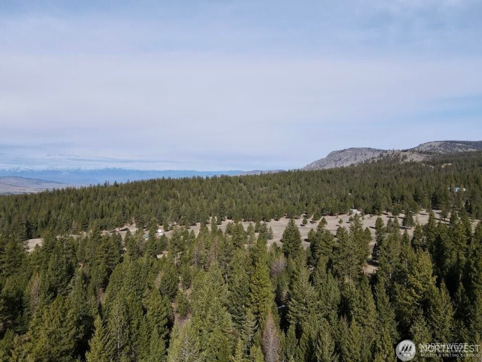 6 Lone Pine Trail