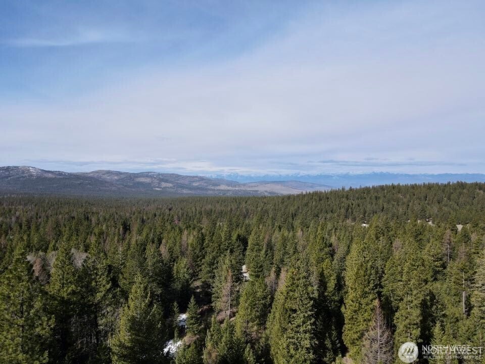 6 Lone Pine Trail