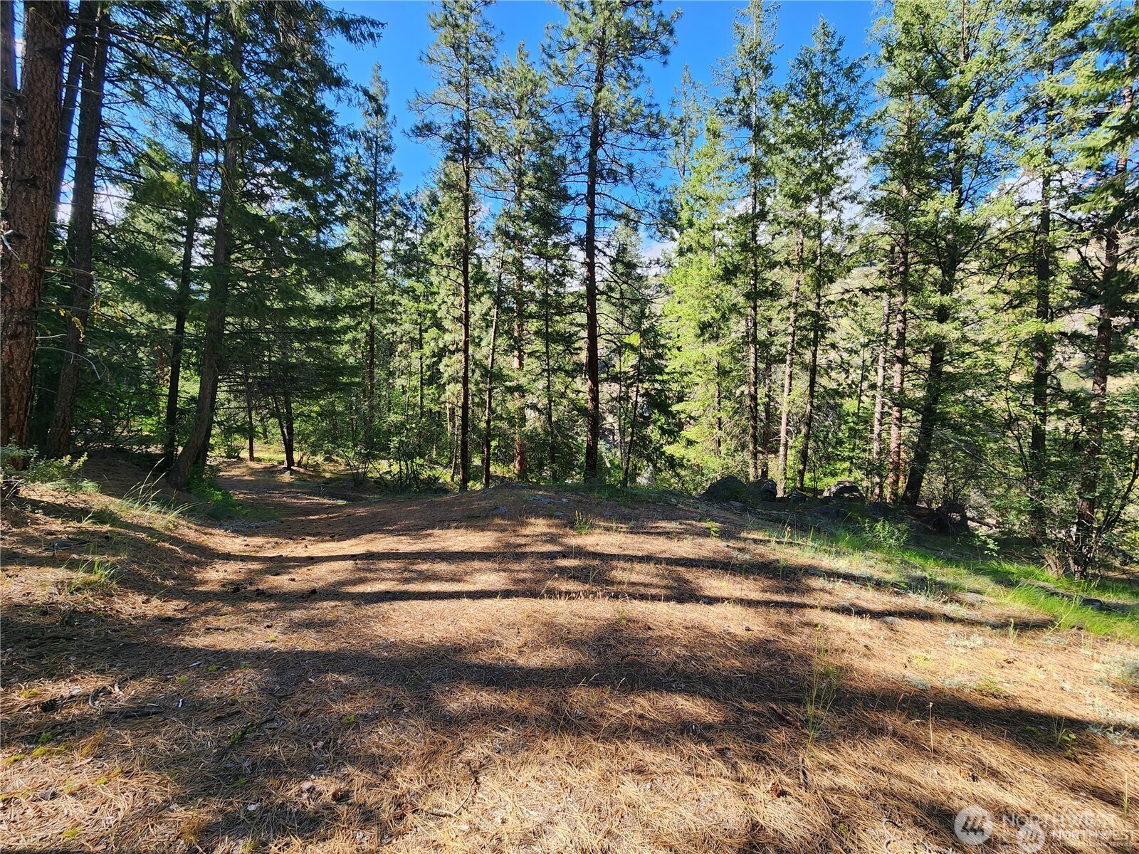 350 TBD Toats Coulee Road