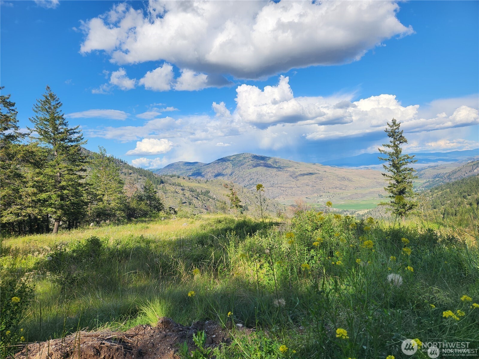 350 TBD Toats Coulee Road