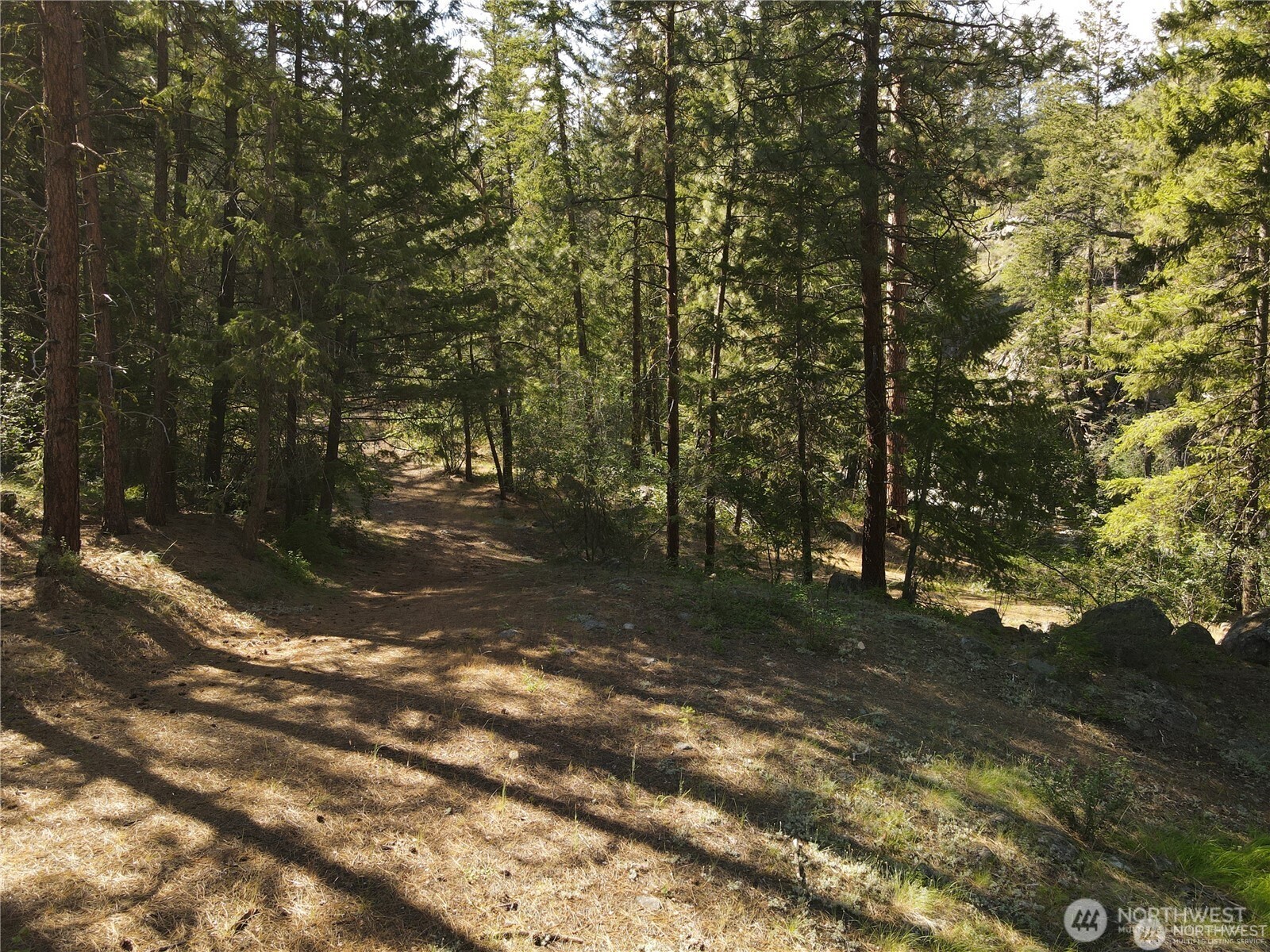 350 TBD Toats Coulee Road