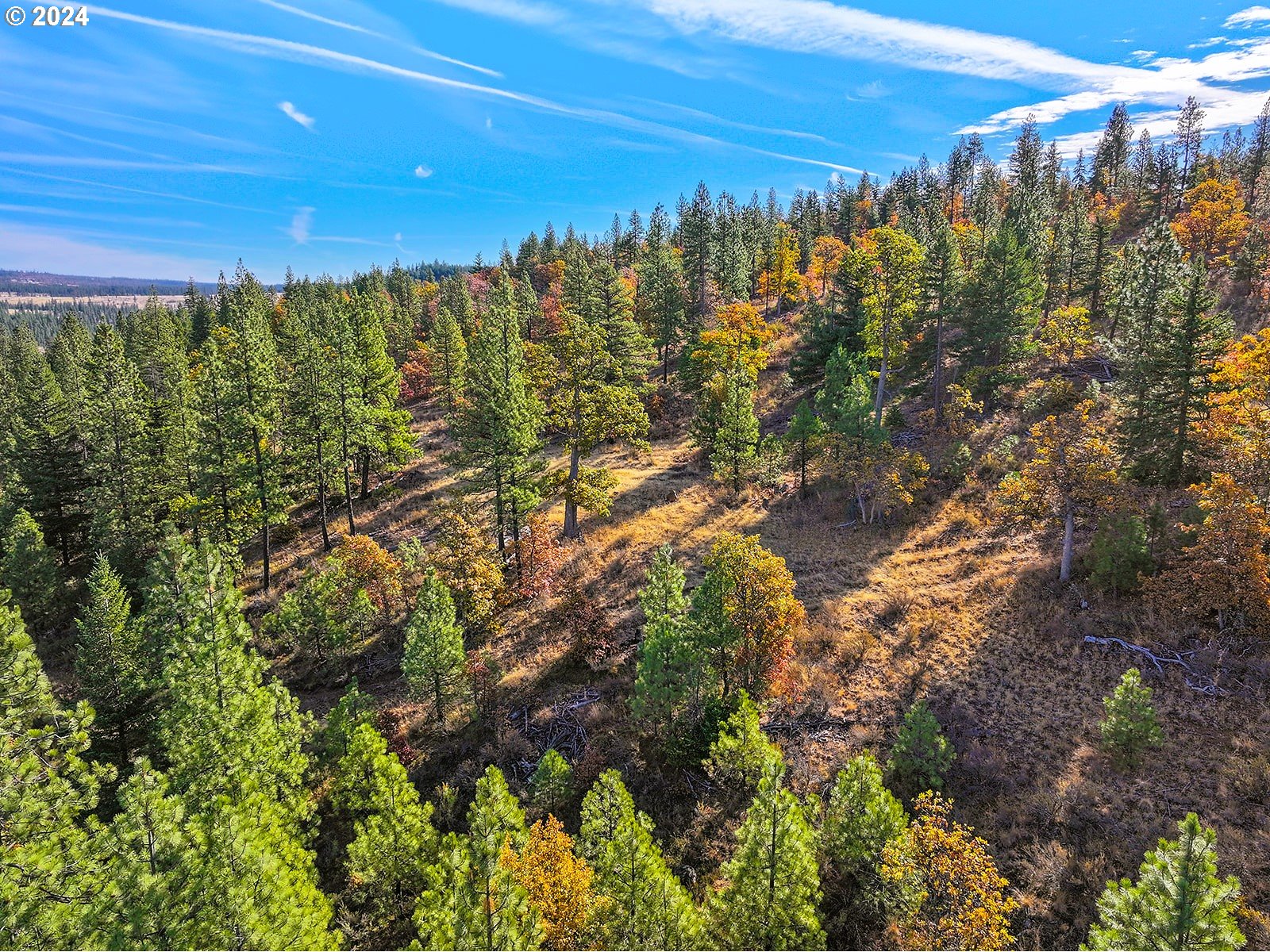 Jenkins Creek RD