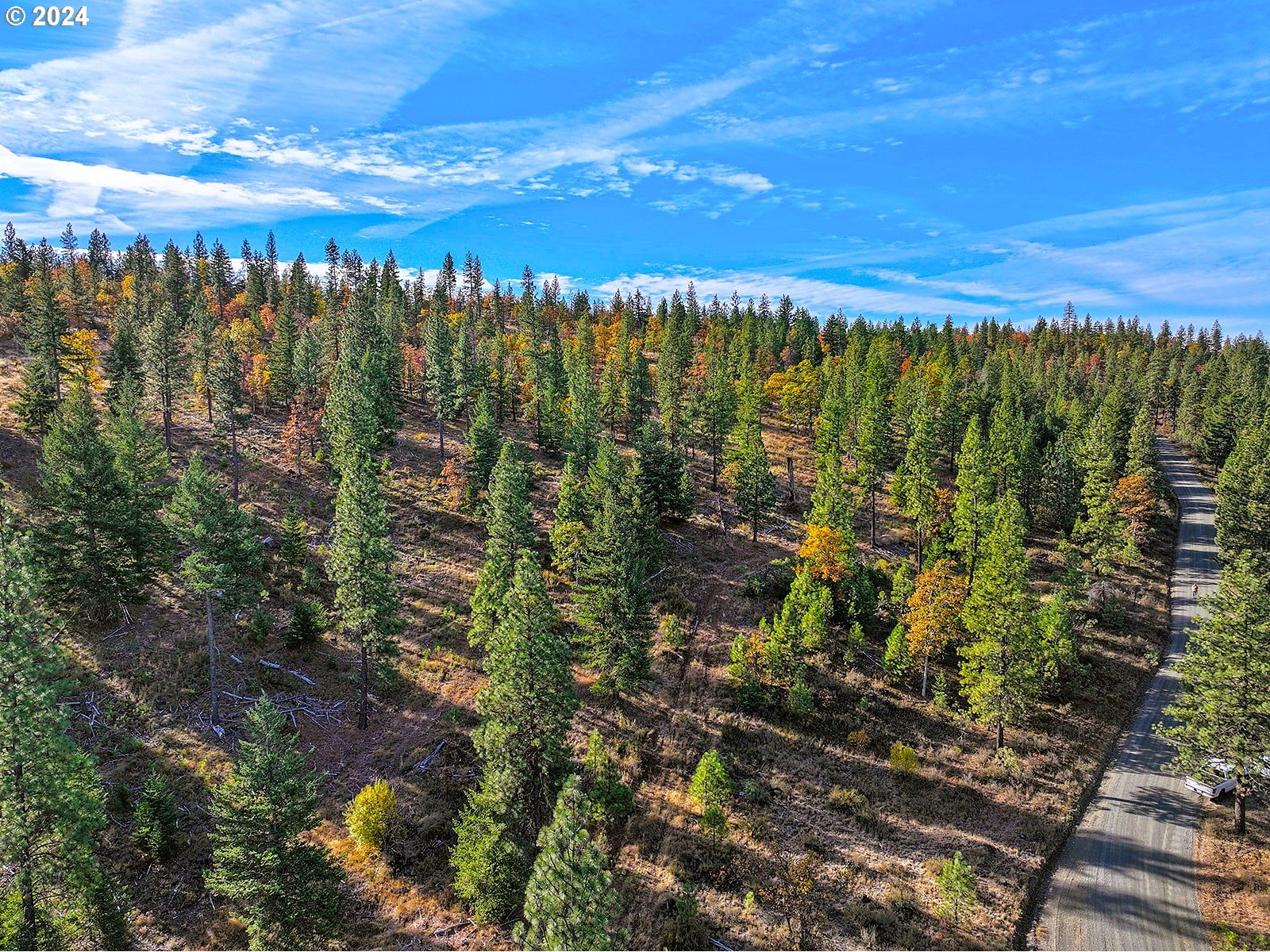 Jenkins Creek RD