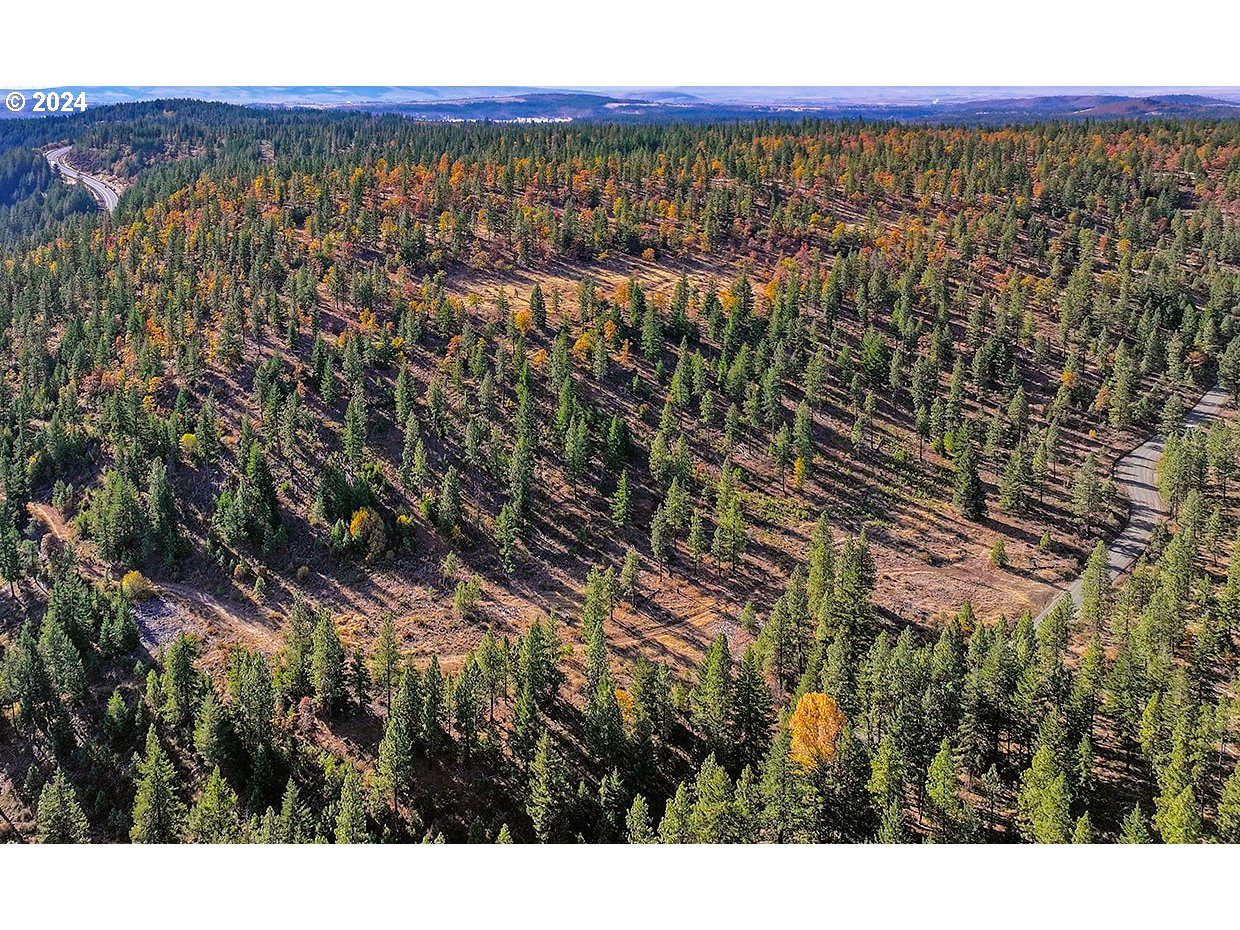 Jenkins Creek RD