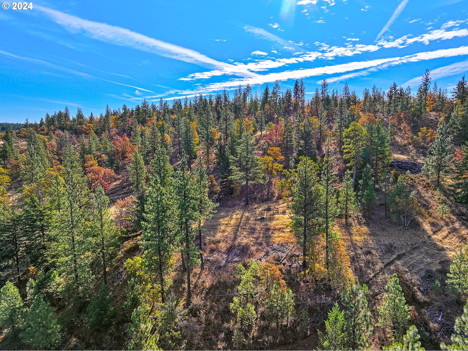 Jenkins Creek RD