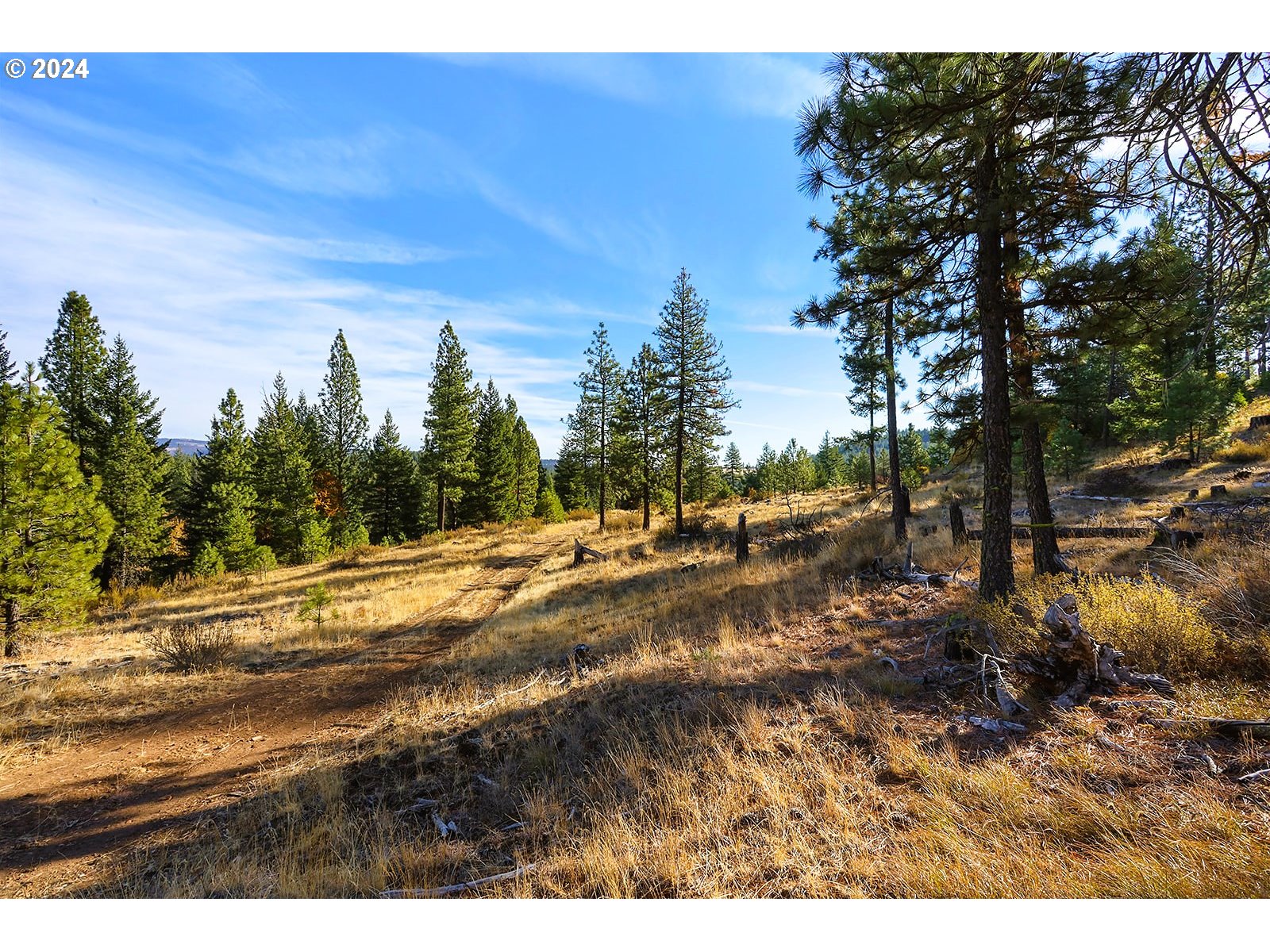 Jenkins Creek RD