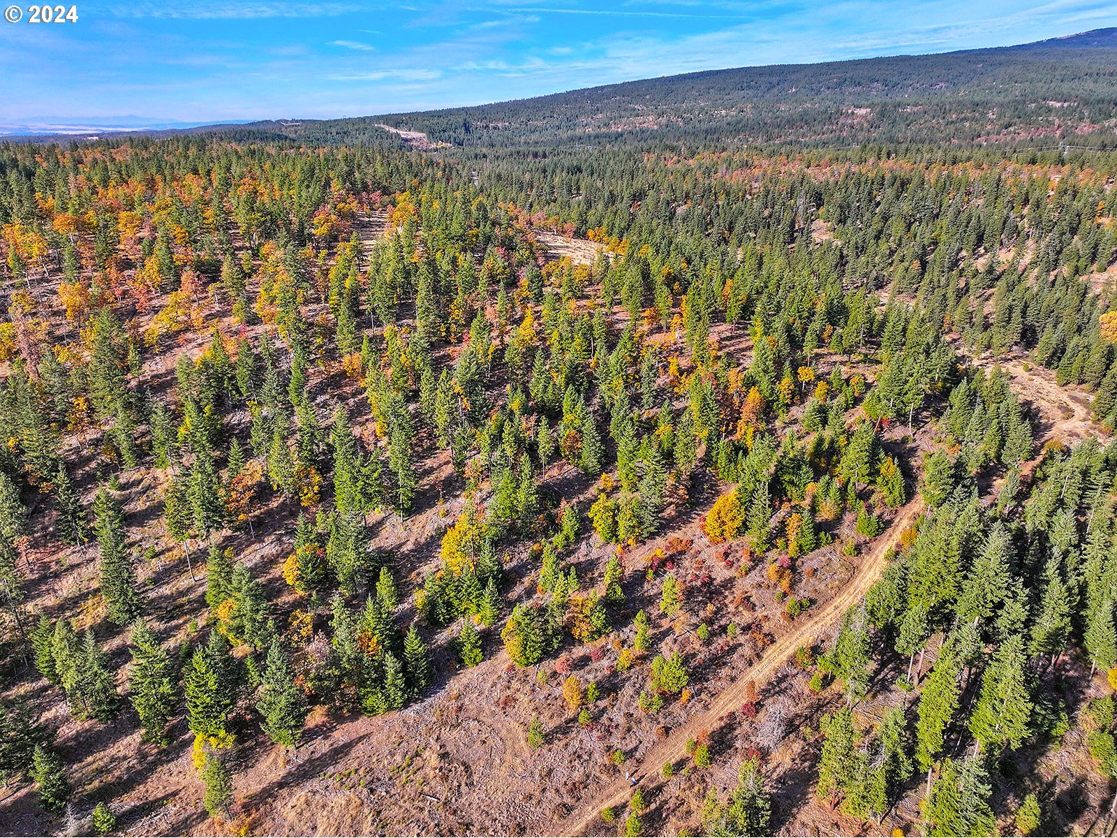 Jenkins Creek RD