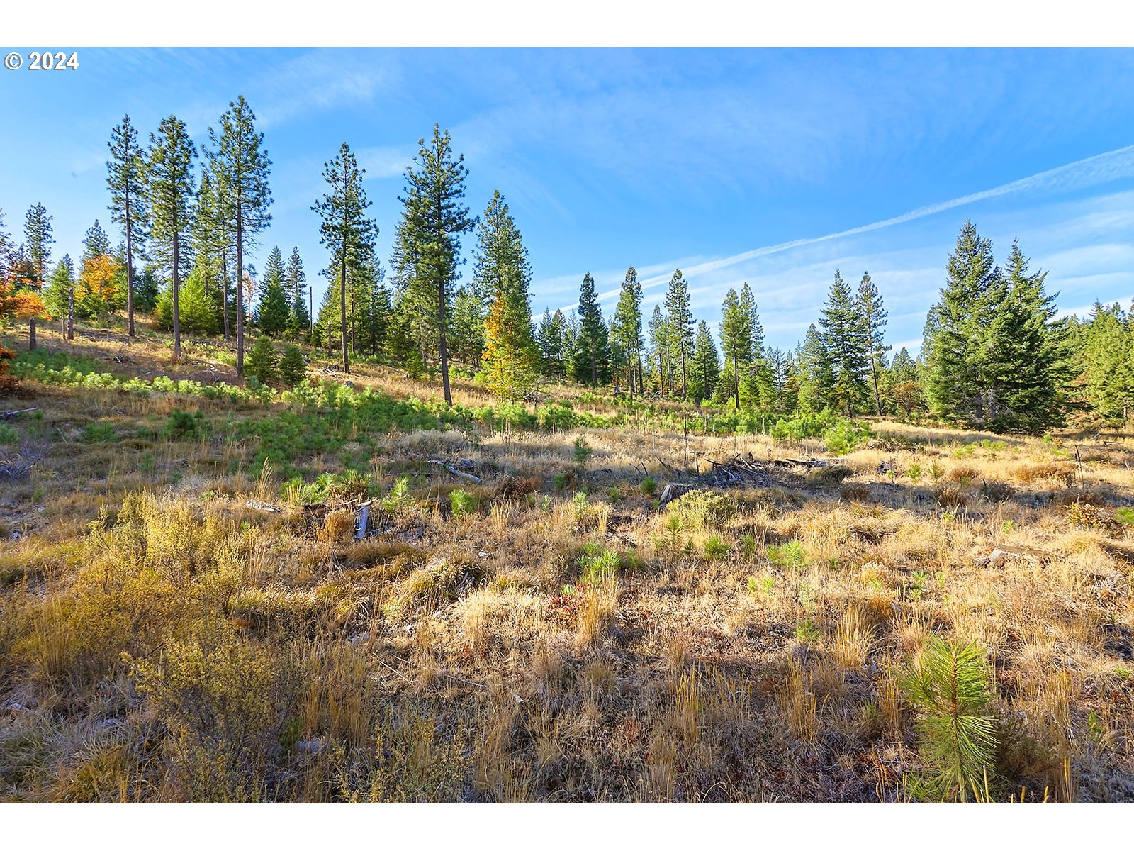 Jenkins Creek RD