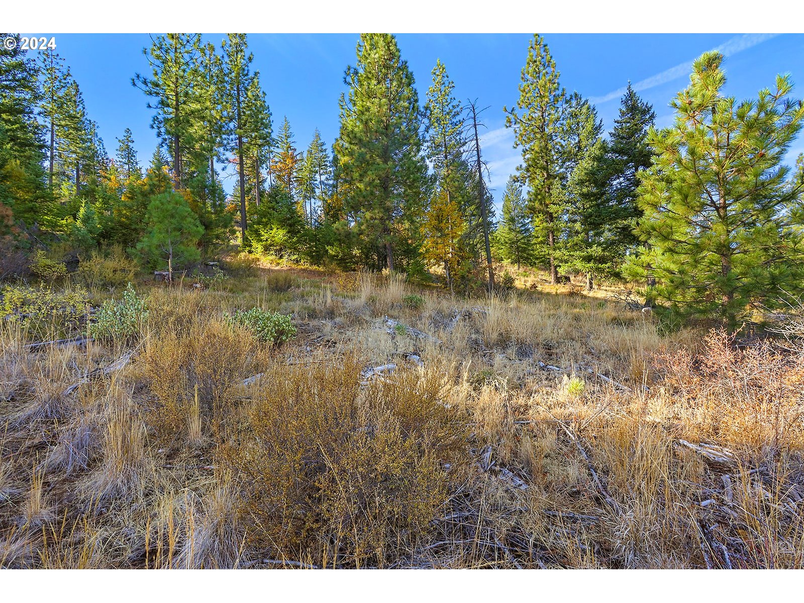 Jenkins Creek RD