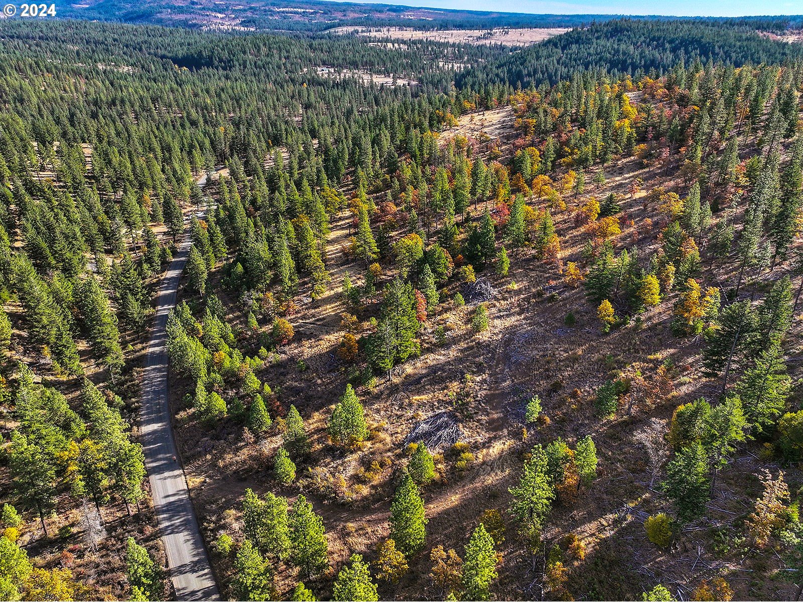 Jenkins Creek RD