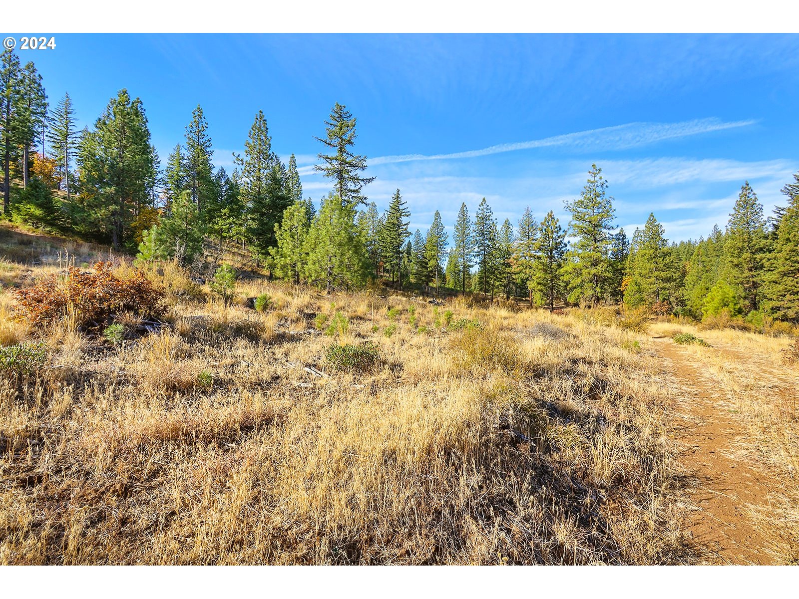 Jenkins Creek RD
