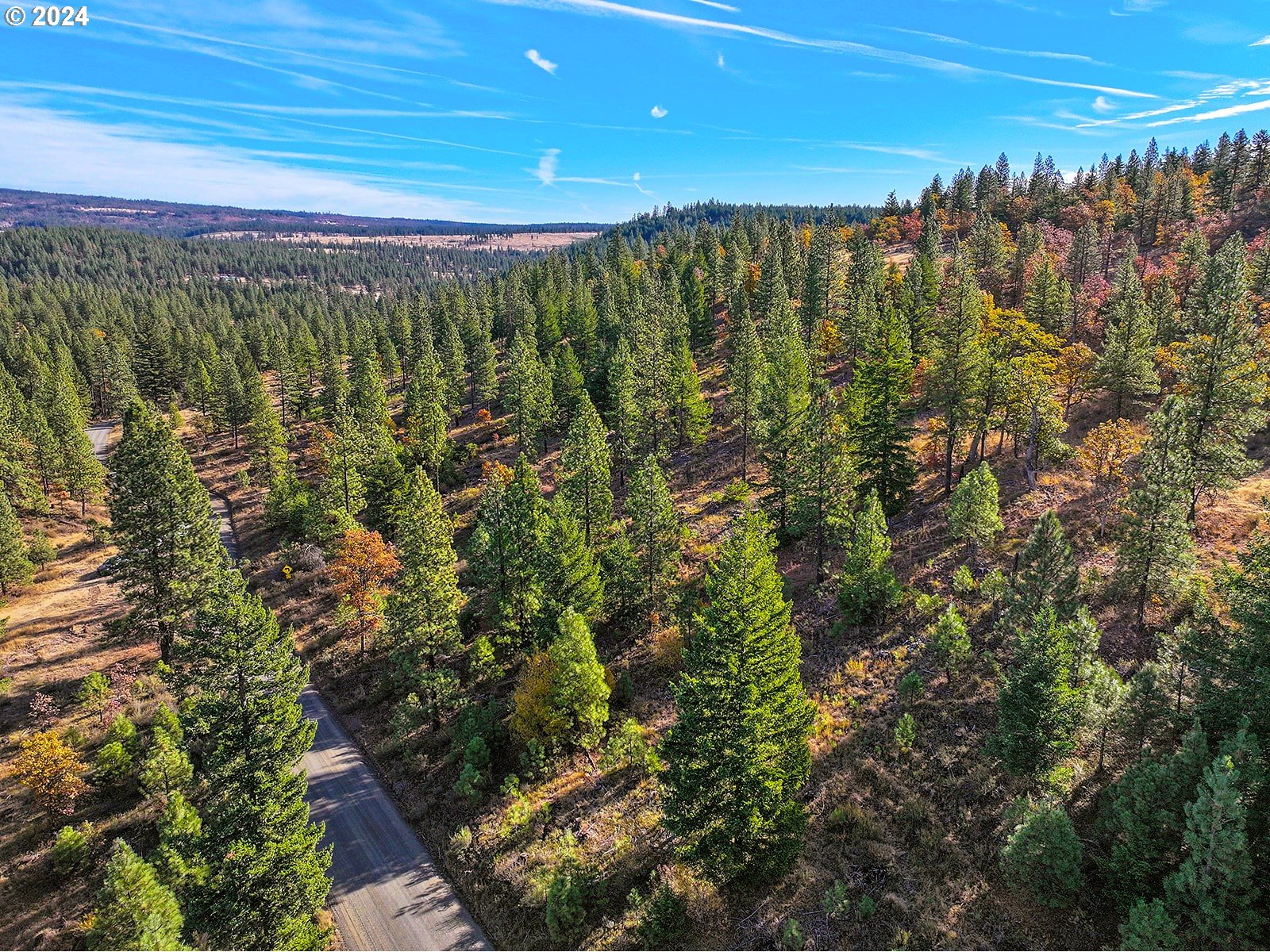 Jenkins Creek RD